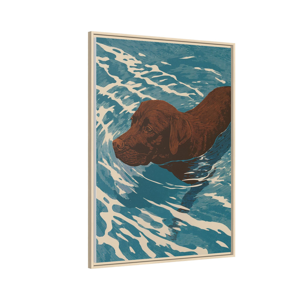 Swimming Chocolate Lab