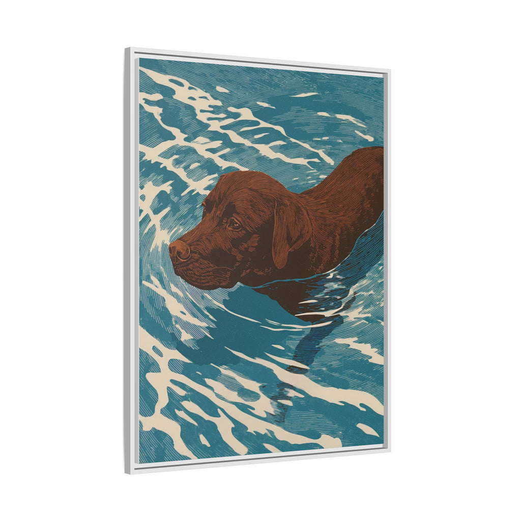 Swimming Chocolate Lab